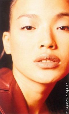 shu qi